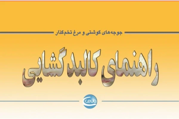 راهنمای کالبدگشایی جوجه گوشتی و مرغ تخم گذار - 38 صفحه - کتابخانه مجازی واتیکان
