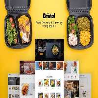 دانلود کیت تمپلیت Bristol برای المنتور