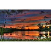تابلو شاسی سهند مدل LS 273