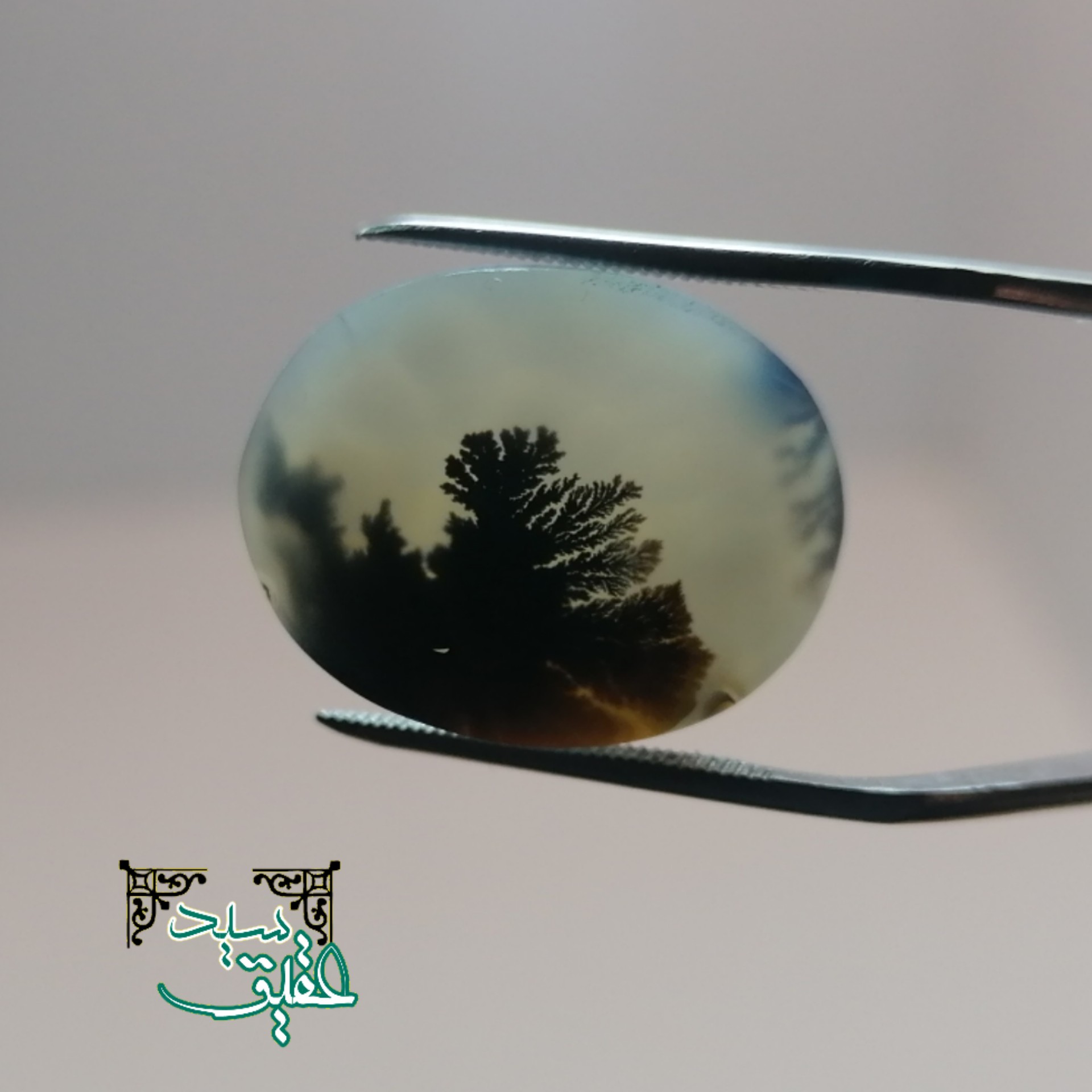 نگین عقیق شجر خوش گل قواره دار