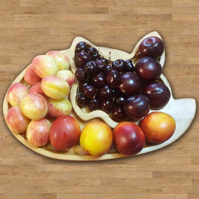 اردو خوری مدل Bod Fox R کد 014