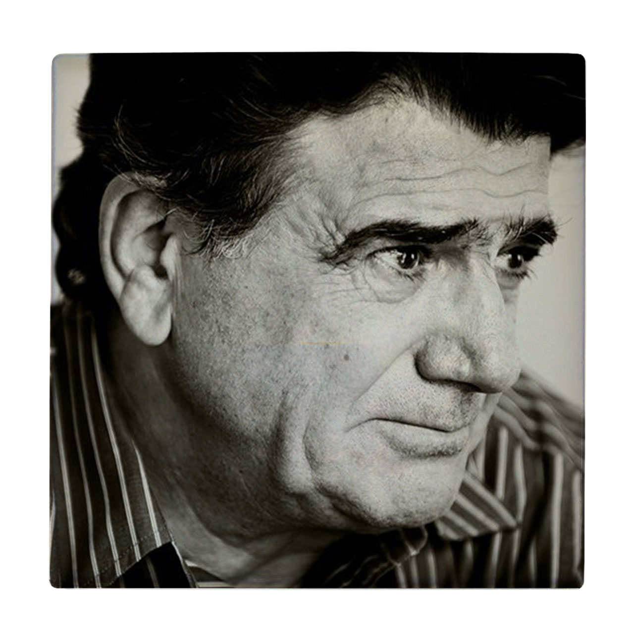 کاشی طرح استاد شجریان کد wk515