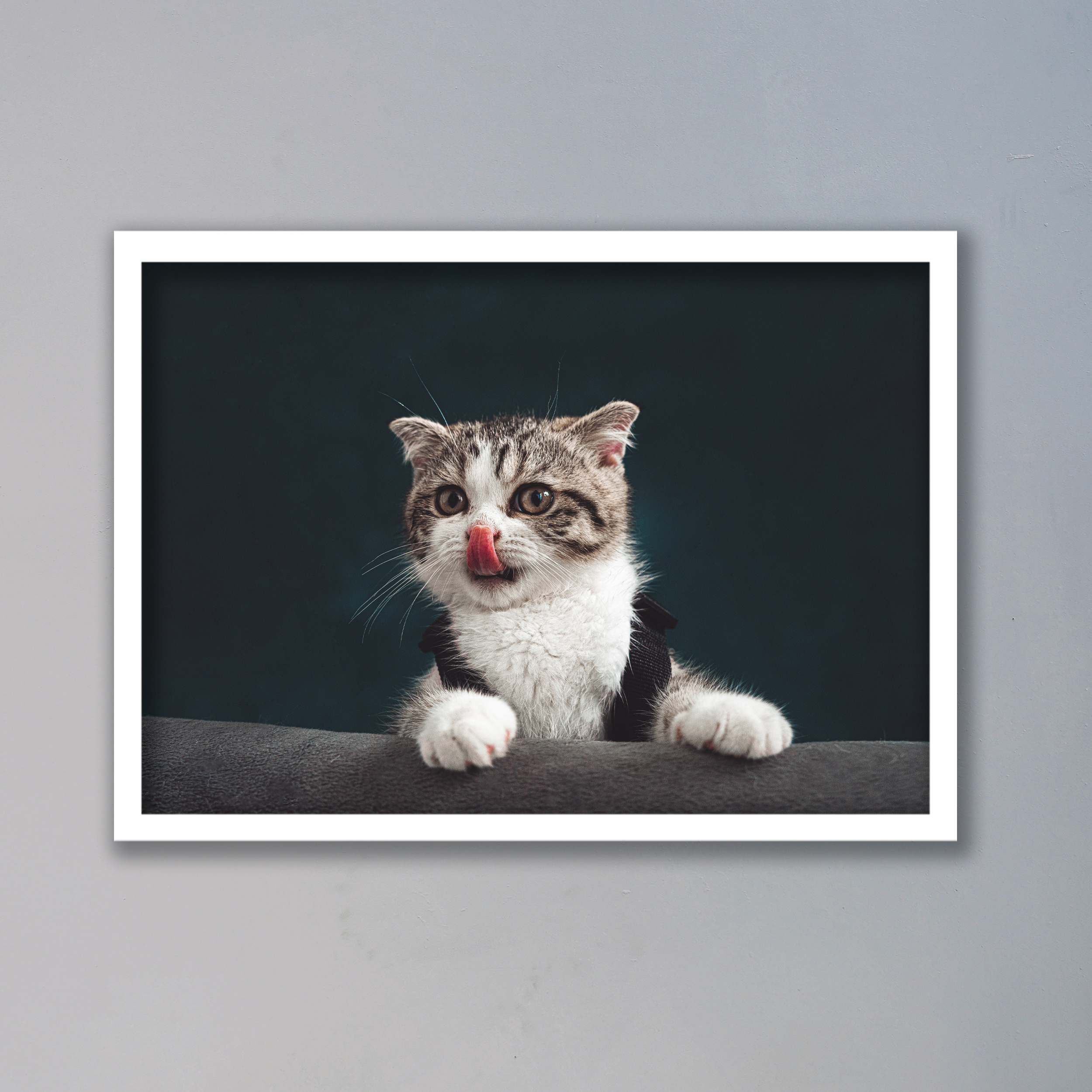 تابلو مدل گربه کد LA-G10170