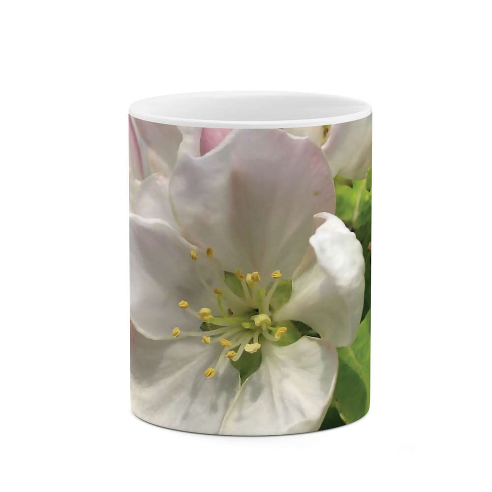 ماگ طرح گل مدل mgs06824