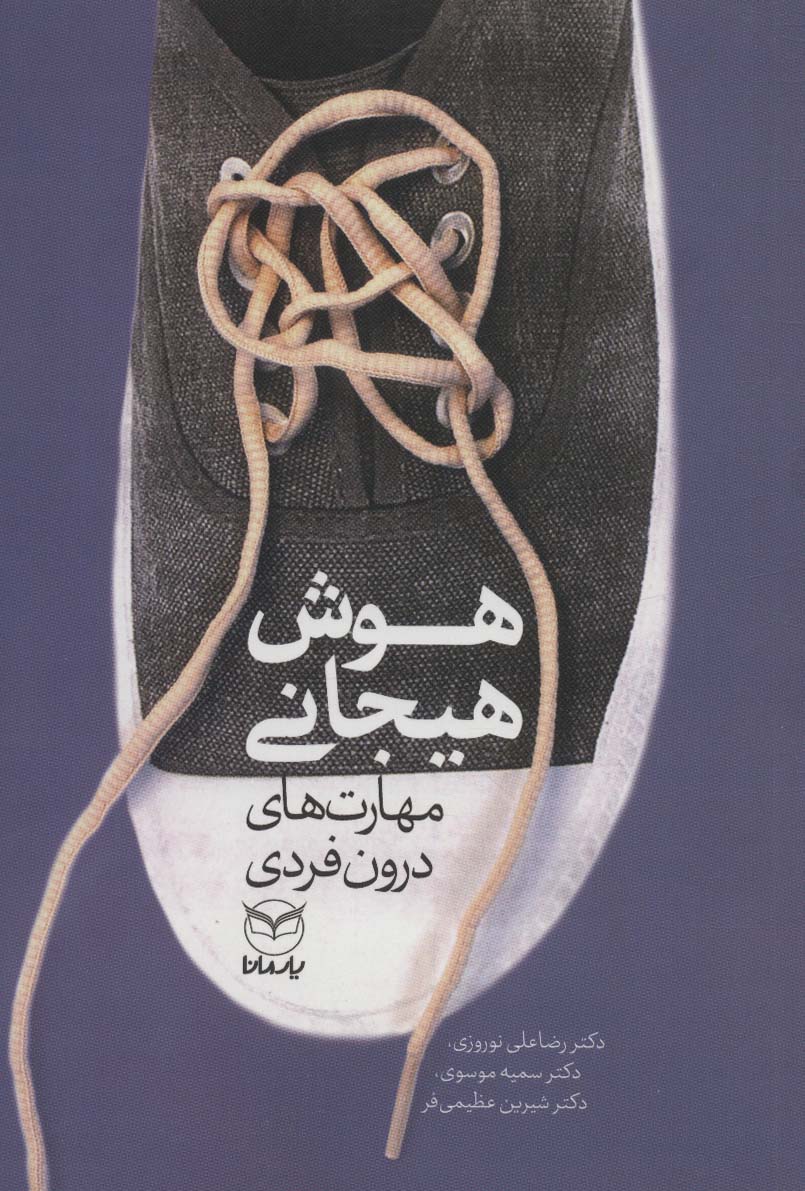 هوش هیجانی (مهارت های درون فردی) - کتابفروشی کوچه کتاب