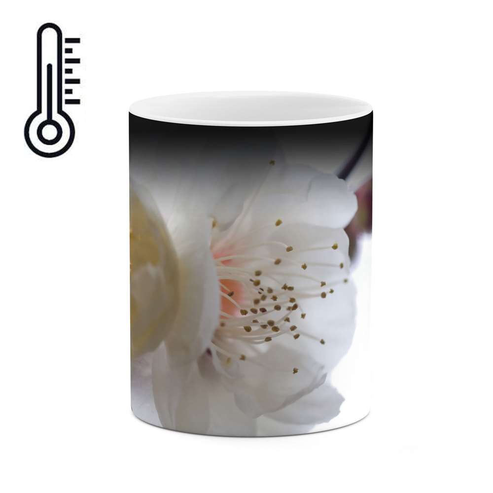 ماگ حرارتی طرح شکوفه گل مدل mgh04066