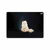 برچسب پوششی ماهوت مدل Persian cat مناسب برای تبلت اپل iPad Pro 9.7 2016 A1673