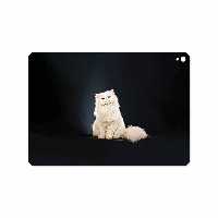 برچسب پوششی ماهوت مدل Persian cat مناسب برای تبلت اپل iPad Pro 9.7 2016 A1673