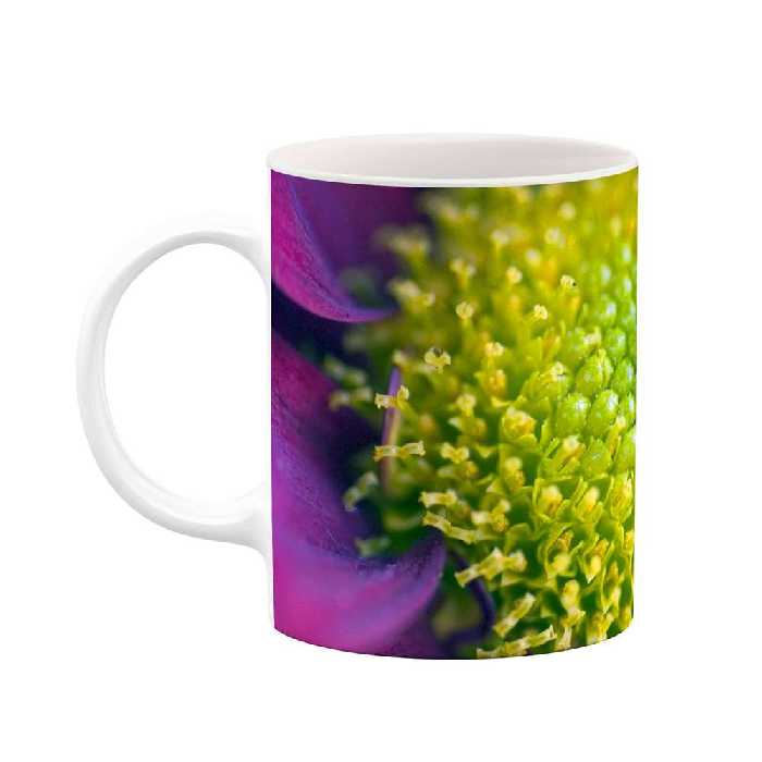 ماگ طرح گل مدل mgs12076