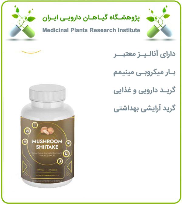 کپسول قارچ شیتاکه (MUSHROOM SHIITAKE) سوران