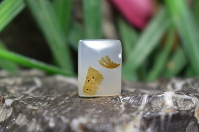 عقیق شجر برزیل