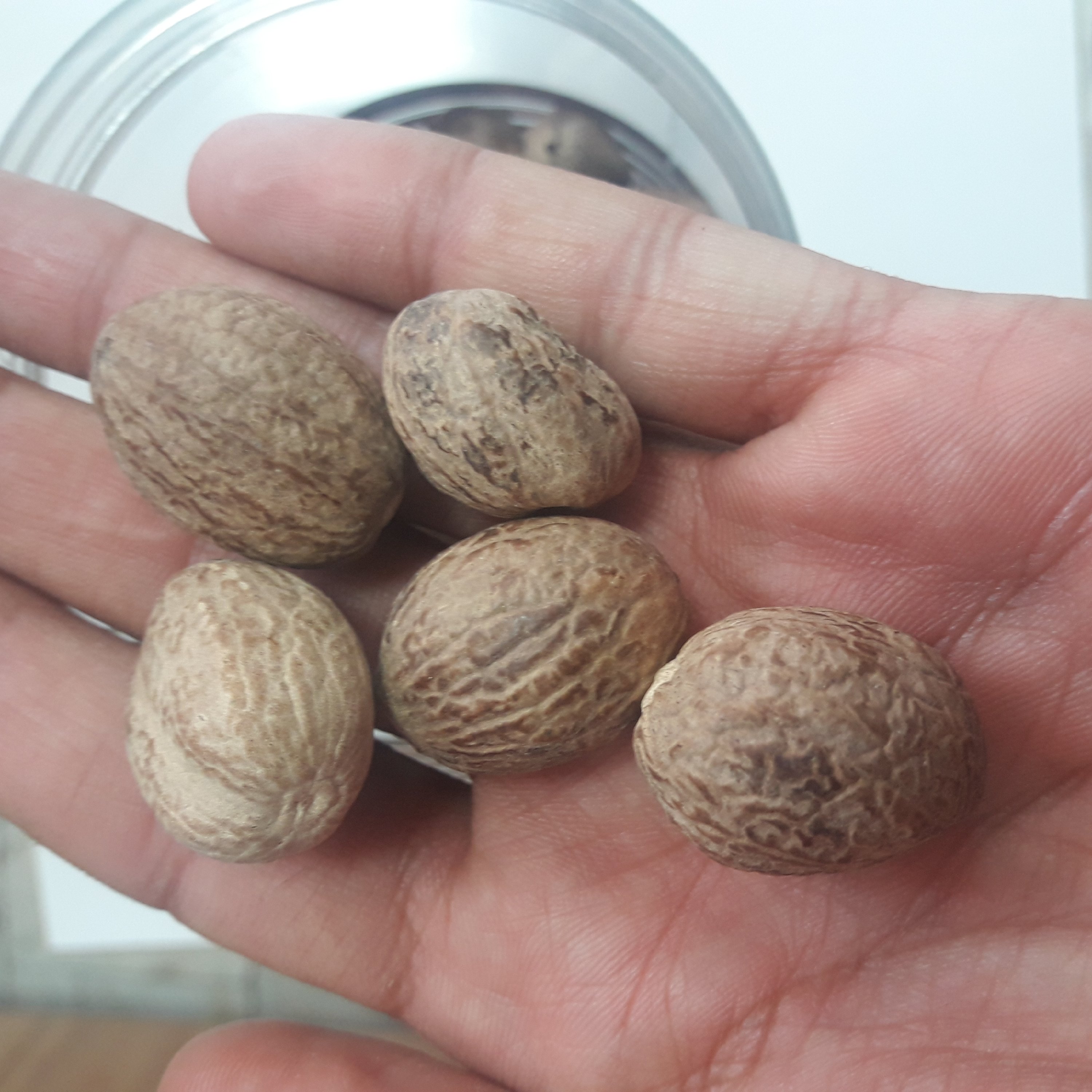 جوز هندی اعلا(بسته 250 گرمی)