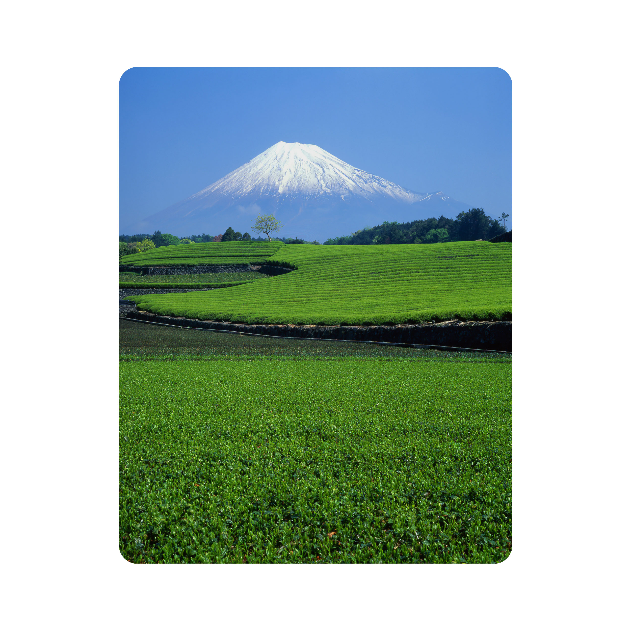 ماوس پد اطلس آبی طرح طبیعت و سبزه و آسمان و کوه و درخت مدل T7007