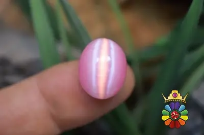 چشم گربه چینی