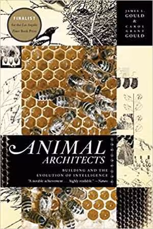 󾕇 دانلود کتاب Animal Architects - Building And The Evolution Of Intelligence, 2012 - دانلود کتاب های دانشگاهی