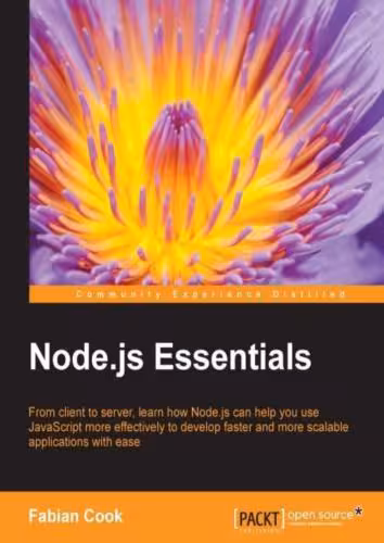خرید و دانلود نسخه کامل کتاب Node.js Essentials