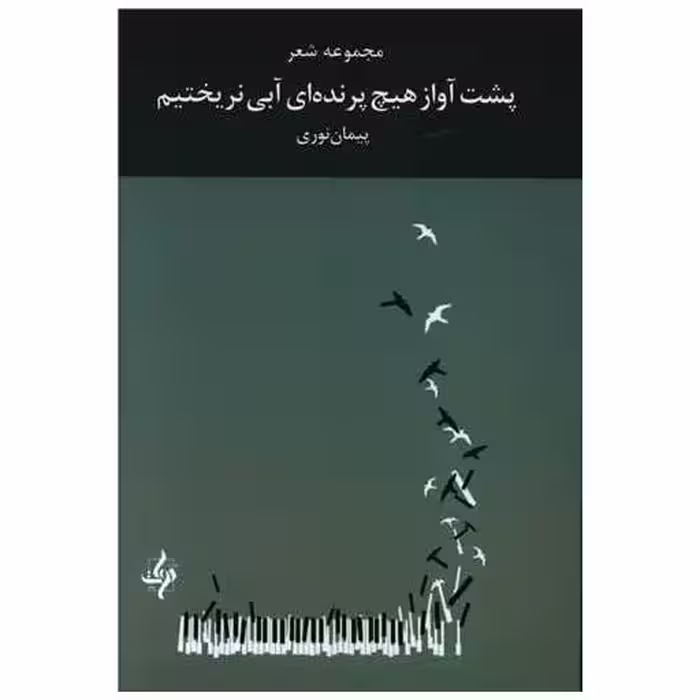 کتاب پشت آواز هیچ پرنده ای آبی نریختیم اثر پیمان نوری