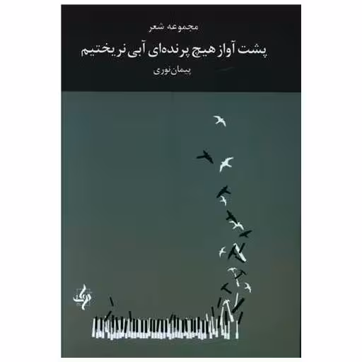 کتاب پشت آواز هیچ پرنده ای آبی نریختیم اثر پیمان نوری