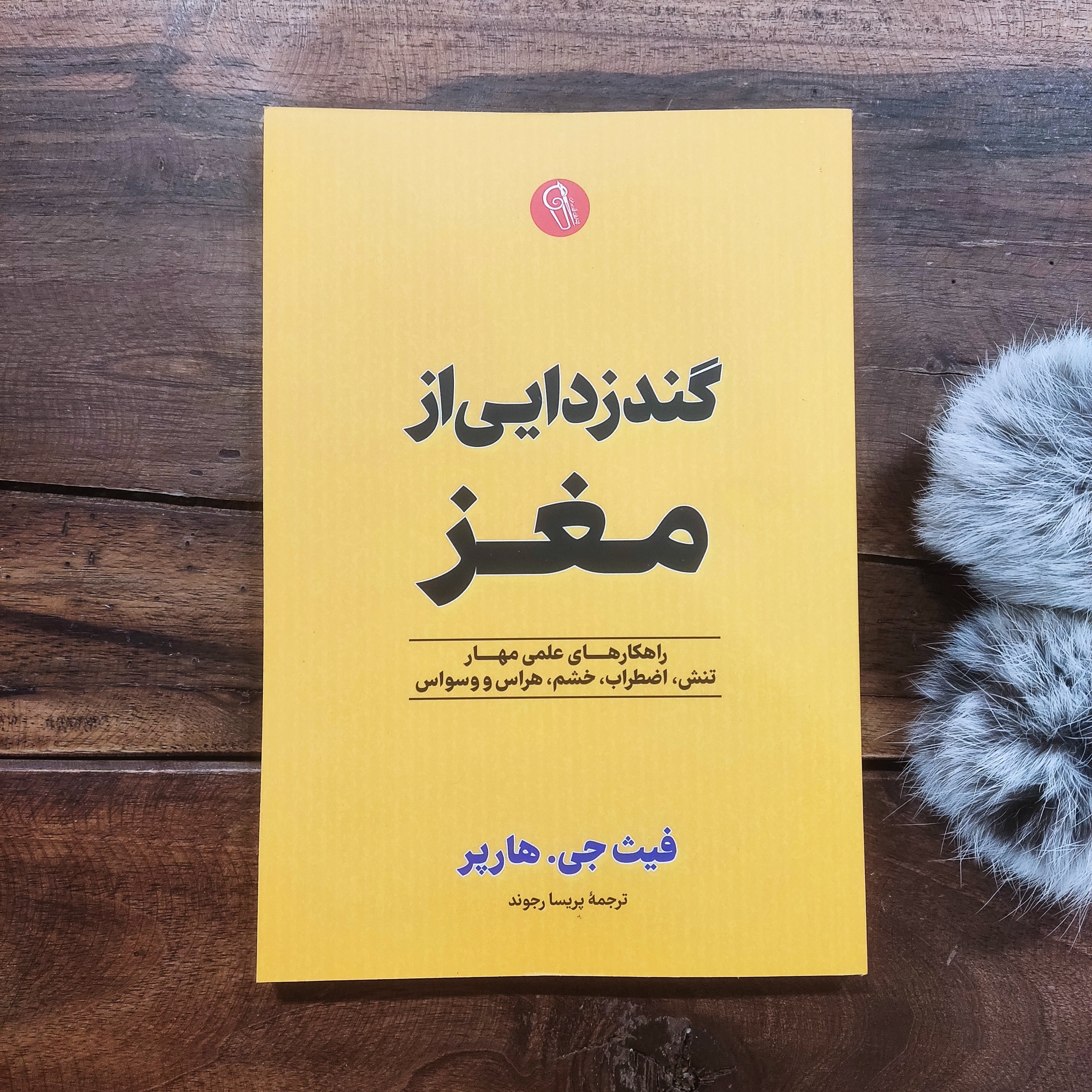 کتاب گندزدایی از مغز اثر فیث جی. هارپر نشر آزرمیدخت