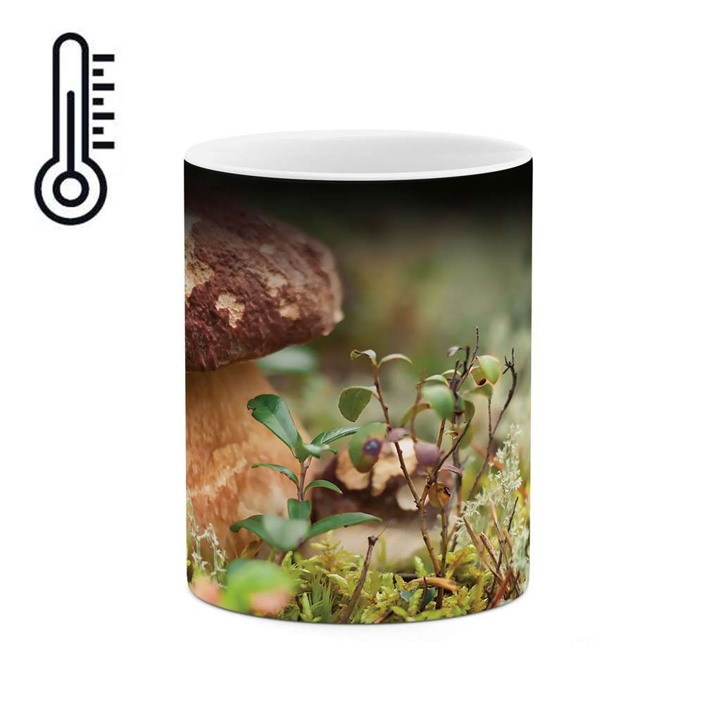 ماگ حرارتی طرح قارچ مدل mgh04430