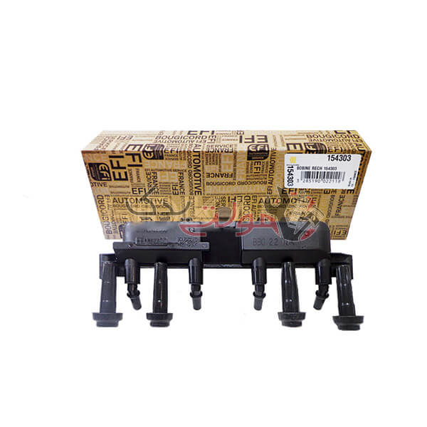 کوئل پژو 206 تیپ 2 بوجیکرد | مولتی یدک