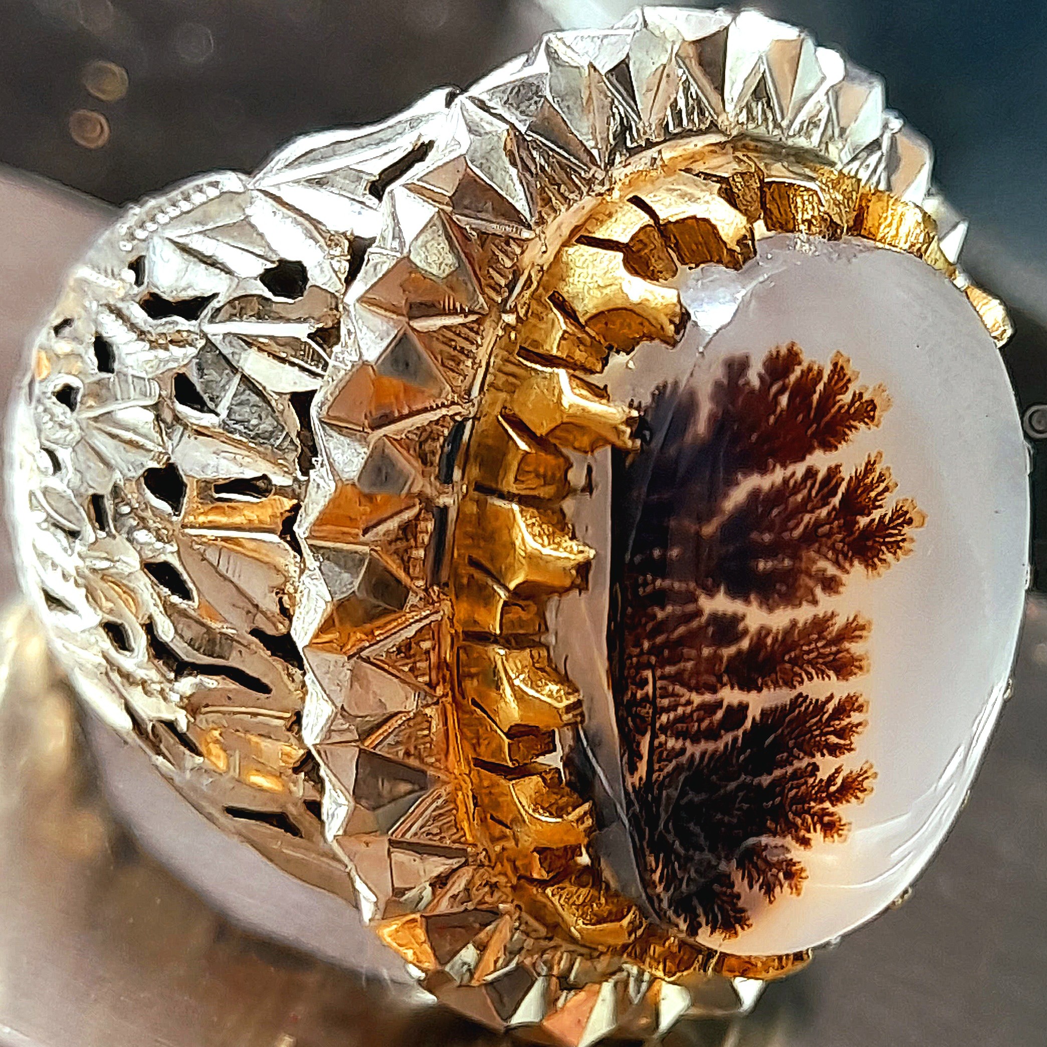 انگشتر شجر قاینات منظره درختان ردیفی 39 گرمی