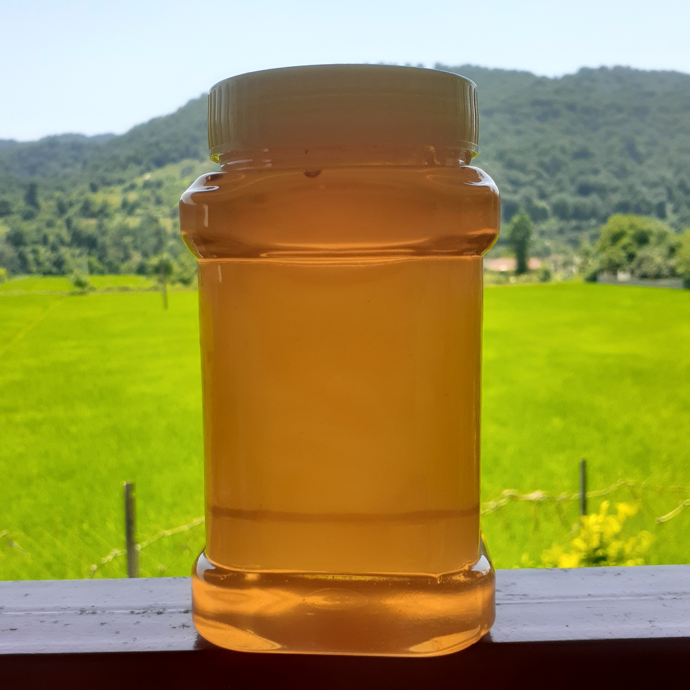 عسل ارگانیک بهاره مازندران(چند گیاه)
