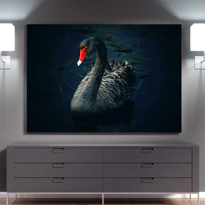 تابلو شاسی طرح قو سیاه کد BLD-an227