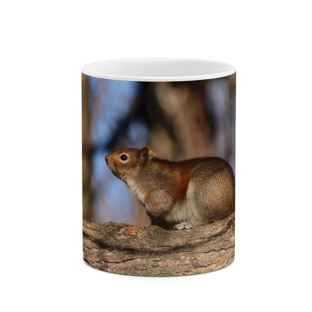 ماگ طرح سنجاب مدل mgs06190