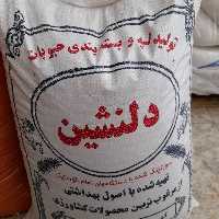حبوبات لپه لوبیا