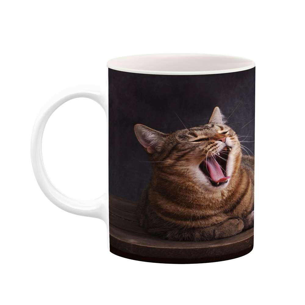 ماگ کاکتی طرح گربه مدل mgs14310