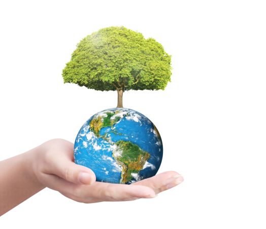 خرید و دانلود عکس Hand-Part-2 کد 24934 | پیک فاکس | Pic Fox