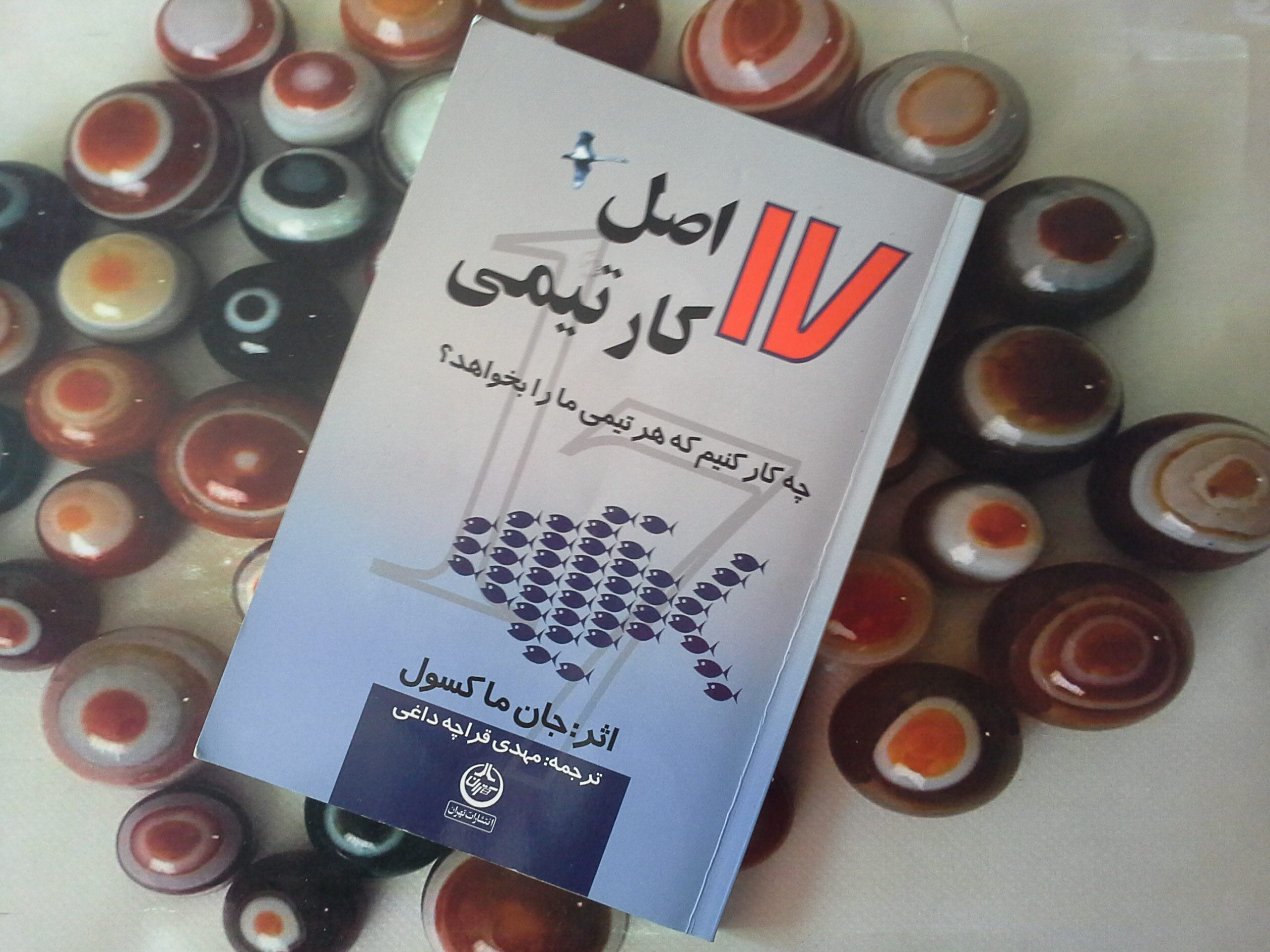 کتاب 17 اصل کار تیمی- خرید با تخفیف چهل درصد از کتاب دایره قهوه ای