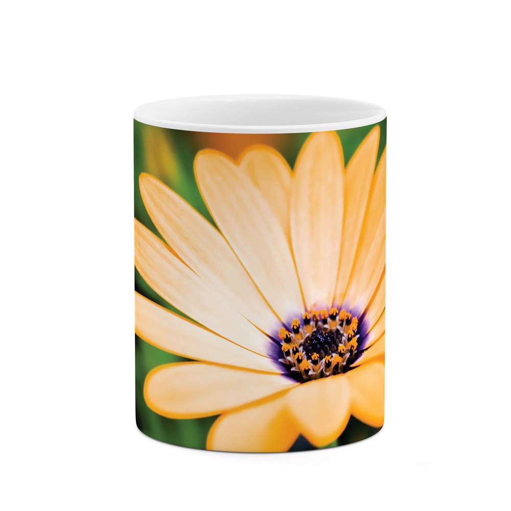 ماگ طرح گل مدل mug04515