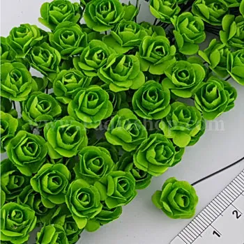 گل رز کوچک سبز روشن