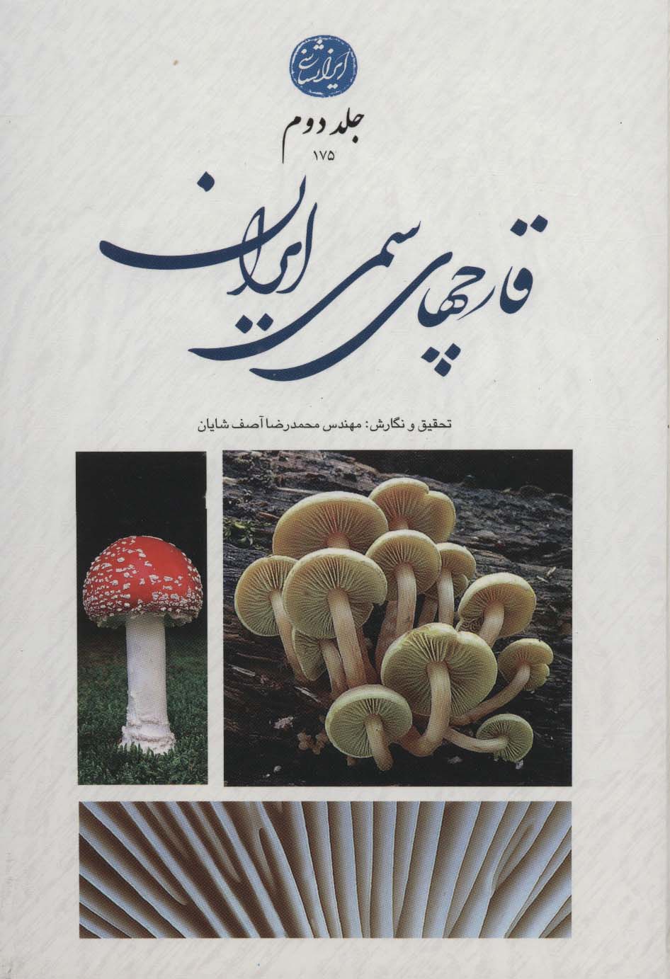 قارچ های سمی ایران 2 (گلاسه) - ناشربوک | خرید آنلاین کتاب