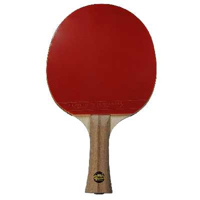 راکت پینگ پنگ استیگا کد V.M 5 مجموعه دو عددی