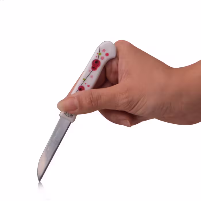 کارد میوه خوری مدل Joint-ch-03 بسته 12 عددی