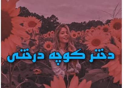 PDF نسخه کامل رمان دختر کوچه درختی از شیدا شیفته
