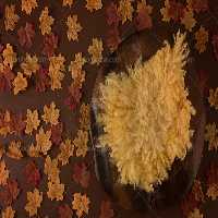 بک دراپ عکاسی با برگ زرد و قرمز | گرافیک با طعم تربچه