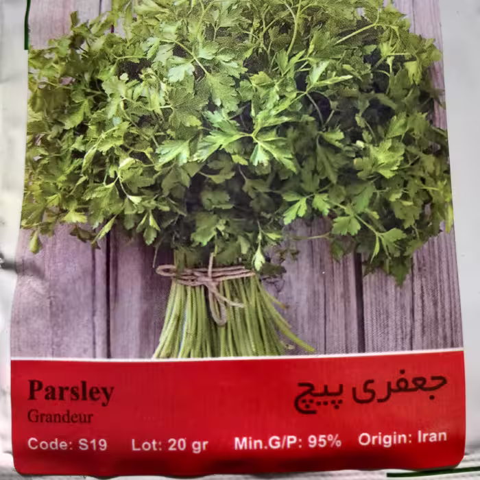 بذر سبزی جعفری پیچ (20 گرمی)