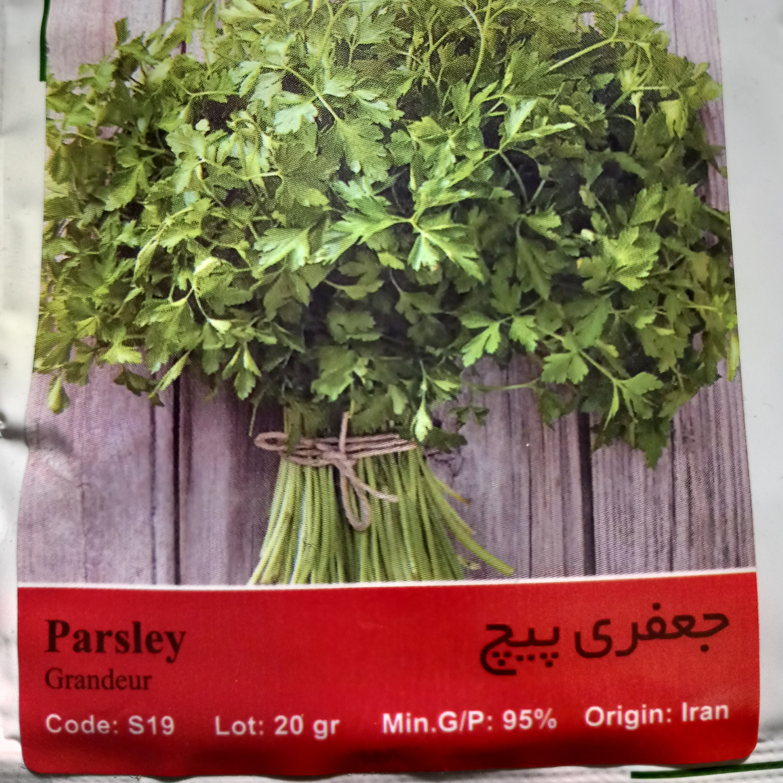 بذر سبزی جعفری پیچ (20 گرمی)