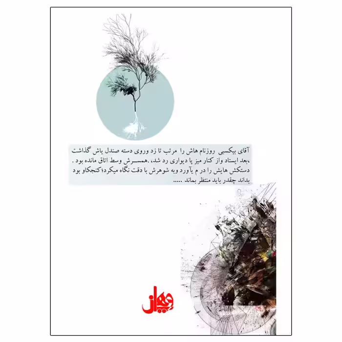 کتاب خانم بیکسی و کت کلنل اثر رولد دال انتشارات ویهان