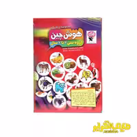 بازی فکری هوش چین 4 تکه