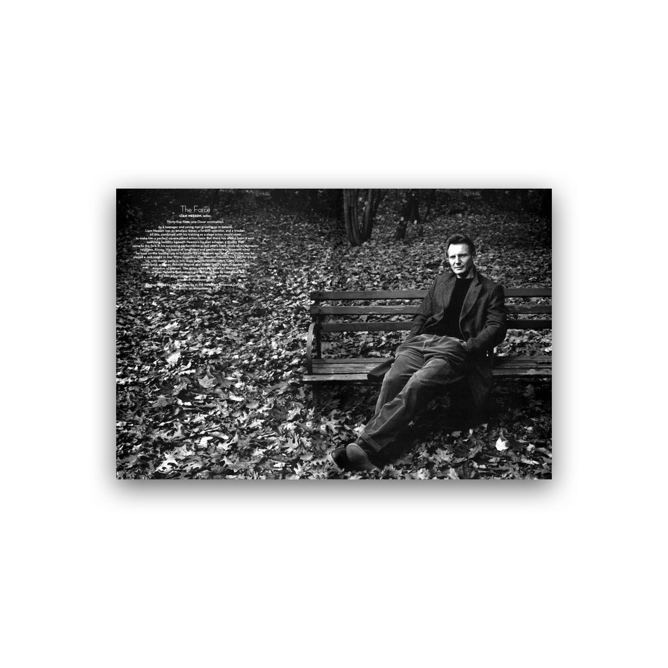 تابلو شاسی طرح لیام نیسون مدل BS00626