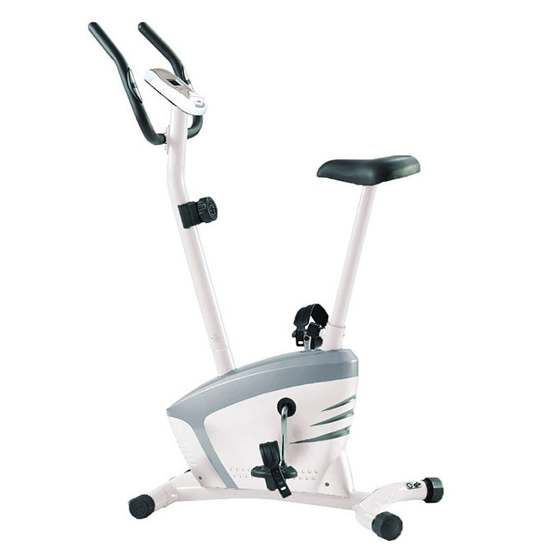 دوچرخه ثابت ایستاده تایتان فیتنس Titan Fitness 43070