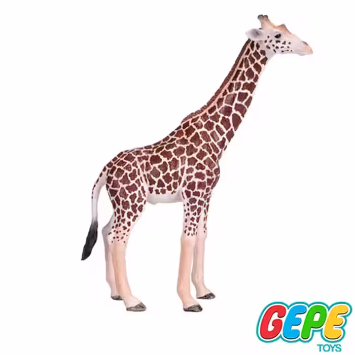 فیگور زرافه نر