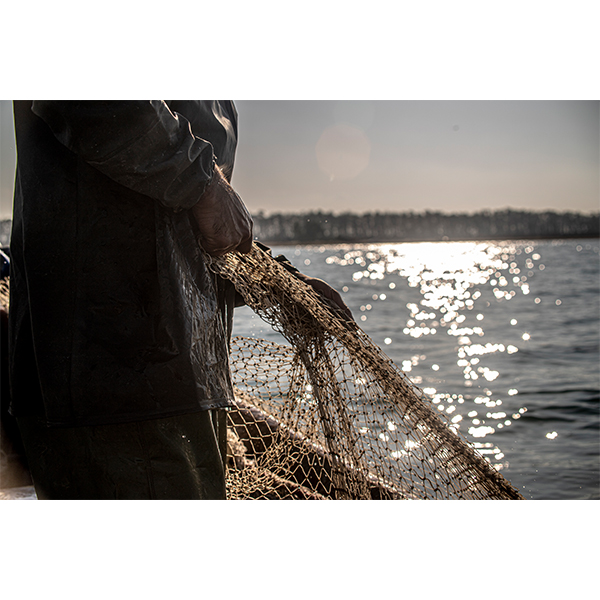 تابلو شاسی طرح تور و دریا مدل MAN0039A