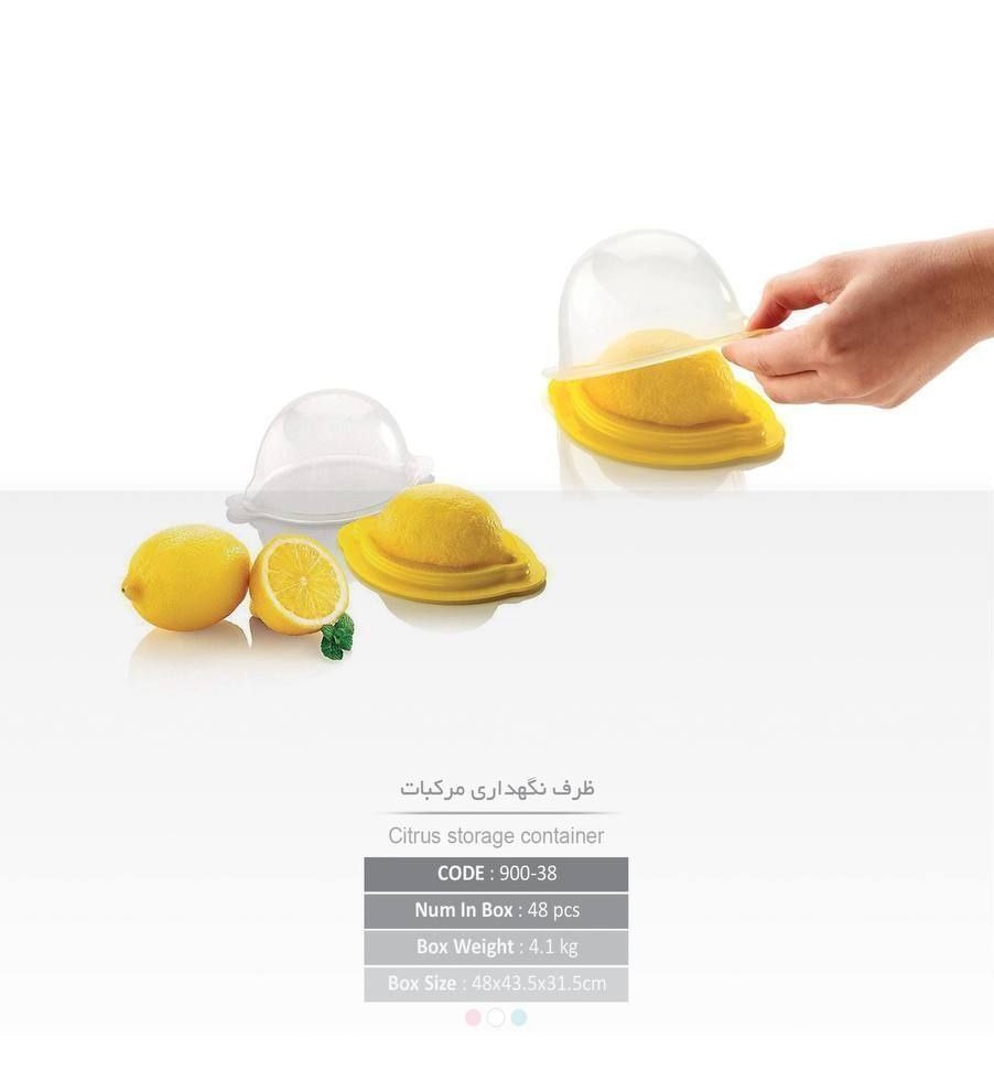 ظرف نگهداری مرکبات