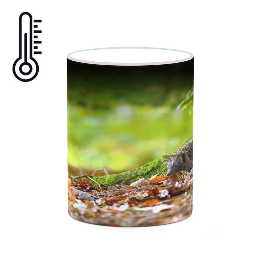 ماگ حرارتی کاکتی طرح منظره پاییزی مدل mgh18589